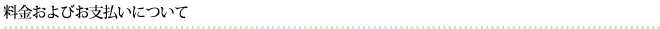 料金およびお支払いについて